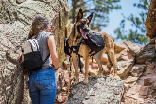 Flagstaff Adjustable Spring Leash Sage Bark-OllyDog Outlet
