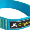 OllyDog Flagstaff Collar kaulapanta, sininen Sale
