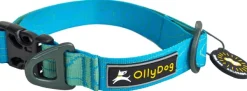 OllyDog Flagstaff Collar kaulapanta, sininen Sale