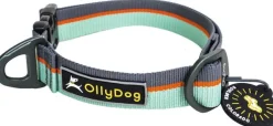 Flagstaff Collar Surf-OllyDog Discount