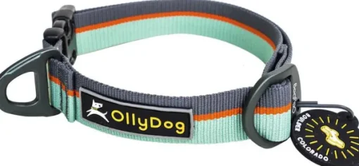 Flagstaff Collar Surf-OllyDog Discount
