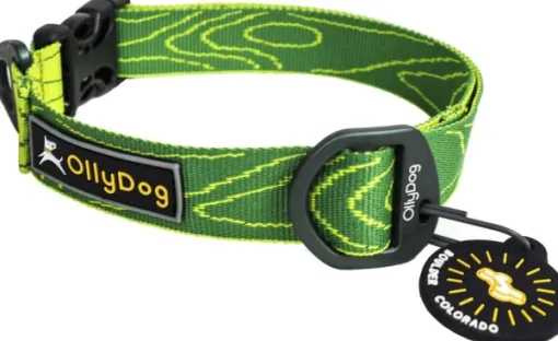 Flagstaff Collar Sage Bark-OllyDog Online