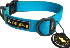 OllyDog Flagstaff Collar kaulapanta, sininen Sale