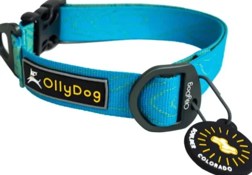 OllyDog Flagstaff Collar kaulapanta, sininen Sale