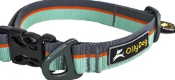 Flagstaff Collar Surf-OllyDog Discount