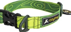 Flagstaff Collar Sage Bark-OllyDog Online