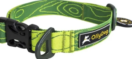 Flagstaff Collar Sage Bark-OllyDog Online
