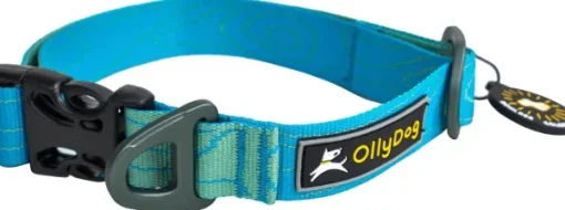 OllyDog Flagstaff Collar kaulapanta, sininen Sale