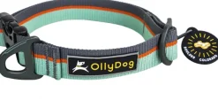 Flagstaff Collar Surf-OllyDog Discount