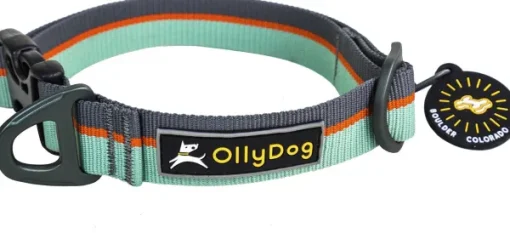 Flagstaff Collar Surf-OllyDog Discount