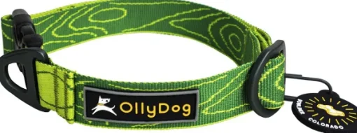 Flagstaff Collar Sage Bark-OllyDog Online