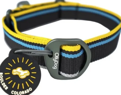 OllyDog Martingale Mesa Collar kaulapanta, Anthracite Online