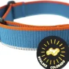 OllyDog Martingale Mesa Collar Air Blue Hot
