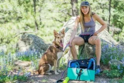 OllyDog Martingale Mesa Collar Air Blue Hot