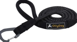 Mountain Leash talutin, musta-OllyDog New