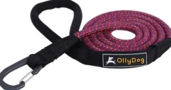 OllyDog Mountain Leash talutin, violetti Outlet
