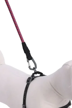 OllyDog Mountain Leash talutin, violetti Outlet