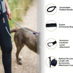 OllyDog Mountain Leash talutin, violetti Outlet