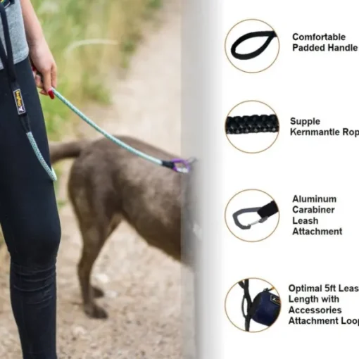 OllyDog Mountain Leash talutin, violetti Outlet