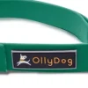 OllyDog Tilden Collar kaulapanta, vihreä Discount
