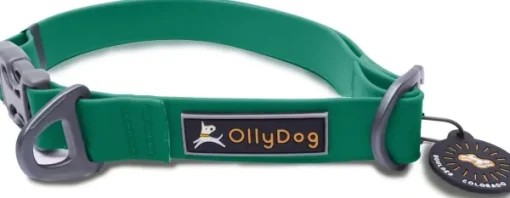 OllyDog Tilden Collar kaulapanta, vihreä Discount