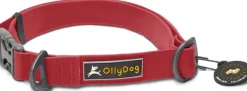 OllyDog Tilden Collar kaulapanta, punainen Clearance