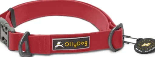 OllyDog Tilden Collar kaulapanta, punainen Clearance