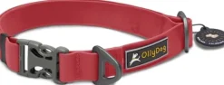 OllyDog Tilden Collar kaulapanta, punainen Clearance