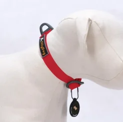 OllyDog Tilden Collar kaulapanta, punainen Clearance