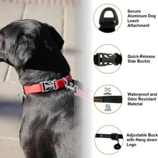 OllyDog Tilden Collar kaulapanta, punainen Clearance