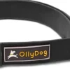 OllyDog Tilden kaulapanta, musta Hot