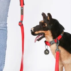 Tilden Leash talutin, punainen-OllyDog Hot