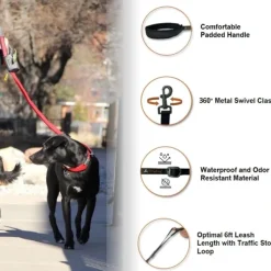 Tilden Leash talutin, punainen-OllyDog Hot