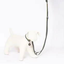 OllyDog Urban Trail Adjustable Leash talutin, musta New