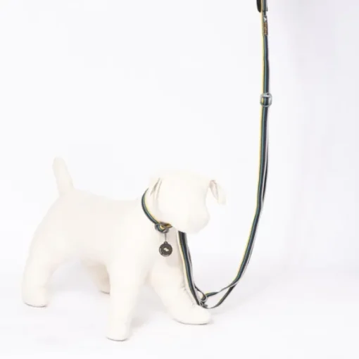 OllyDog Urban Trail Adjustable Leash talutin, musta New