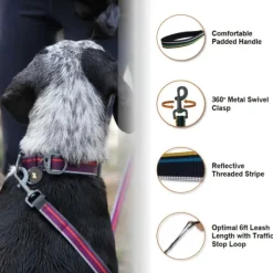 OllyDog Urban Trail Adjustable Leash talutin, musta New
