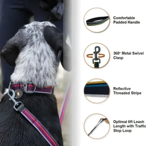 OllyDog Urban Trail Adjustable Leash talutin, musta New