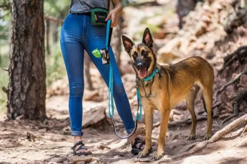 OllyDog Urban Trail Adjustable Spring Leash Anthracite Outlet