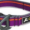 Urban Trail Reflective Collar Wild Aster-OllyDog Outlet