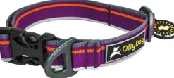 Urban Trail Reflective Collar Wild Aster-OllyDog Outlet