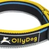 Urban Trail Reflective Collar Anthracite-OllyDog Fashion