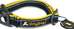 Urban Trail Reflective Collar Anthracite-OllyDog Fashion