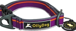 Urban Trail Reflective Collar Wild Aster-OllyDog Outlet