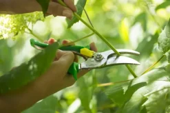 Hand Pruner -puutarhasakset, vihreä-Opinel Discount