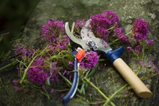 Opinel Hand Pruner puutarhasakset, sininen Outlet