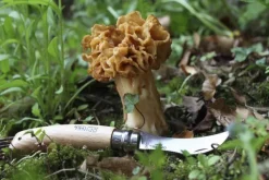 Mushroom Knife No8 Beechwood 8 cm-Opinel Outlet