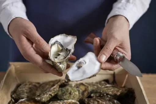 Opinel Oyster & Shellfish Knife No09 Padouk 6,5 cm Online