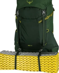 Osprey Ace 50 Blue Spikemoss/Deep Peyto Kids Discount