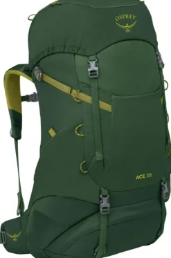 Osprey Ace 38 Green Canopy/Matcha Green Kids New