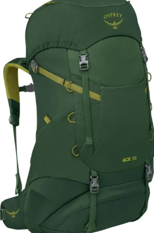 Osprey Ace 38 Green Canopy/Matcha Green Kids New